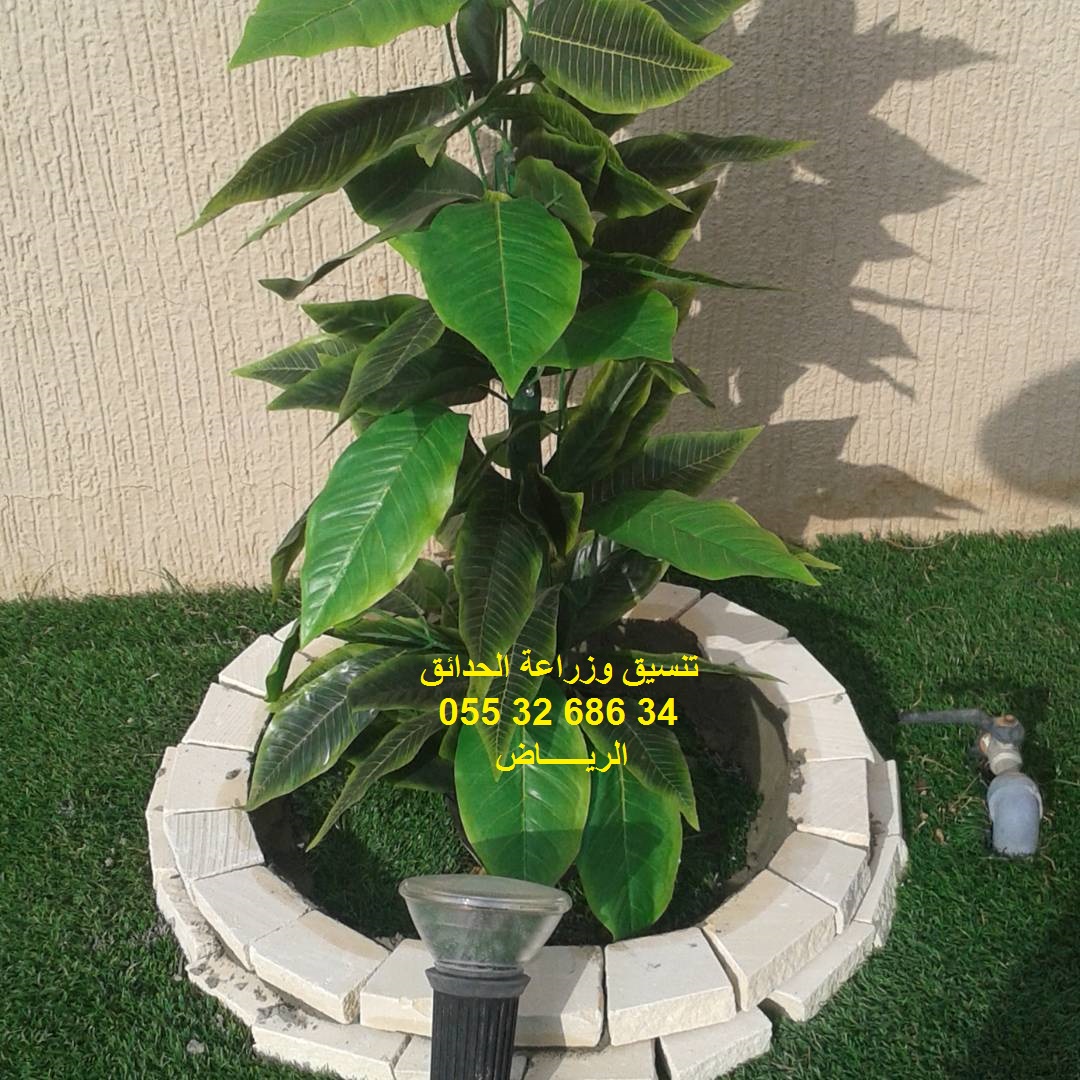 تنسيق حدائق عشب صناعي عشب جداري 0553268634