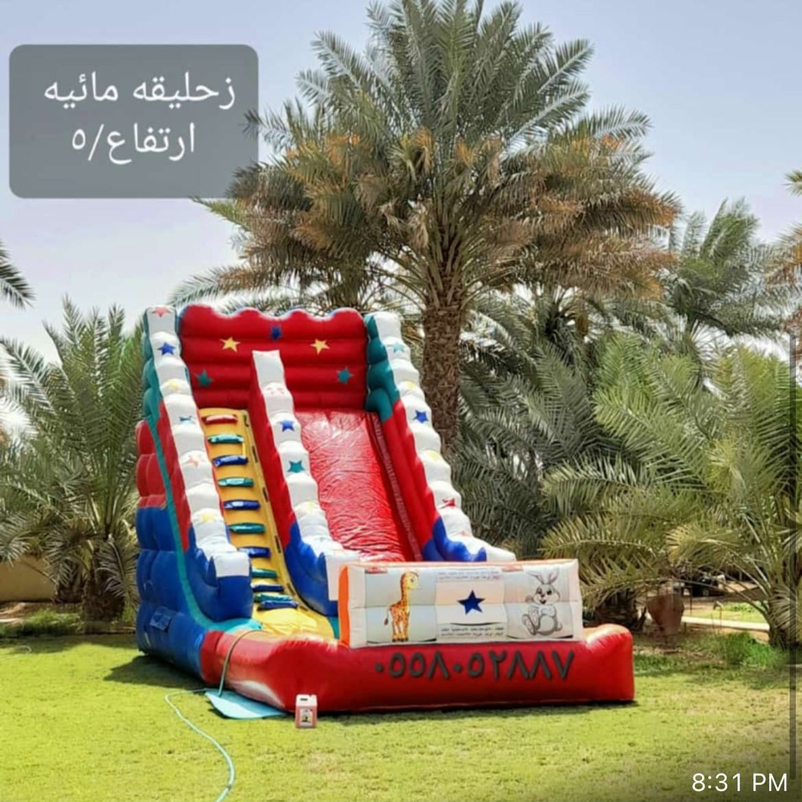 نطيطات 