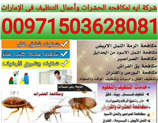 شركة ايه خصم ٣٠٪ حصريا علي تنظيف الكنب والسجاد والثريات في دبي