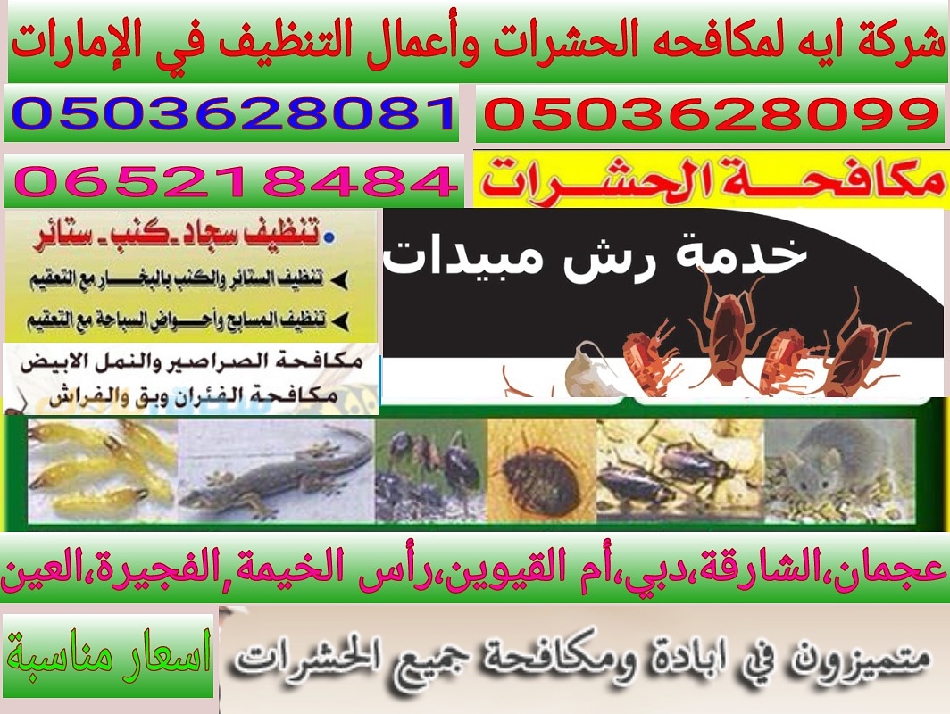 شركة ايه خصم ٣٠٪ حصريا علي تنظيف الكنب والسجاد والثريات في دبي