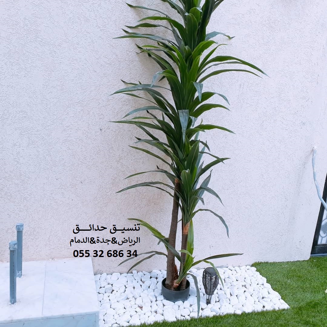 تنسيق حدائق عشب صناعي عشب جداري 0553268634