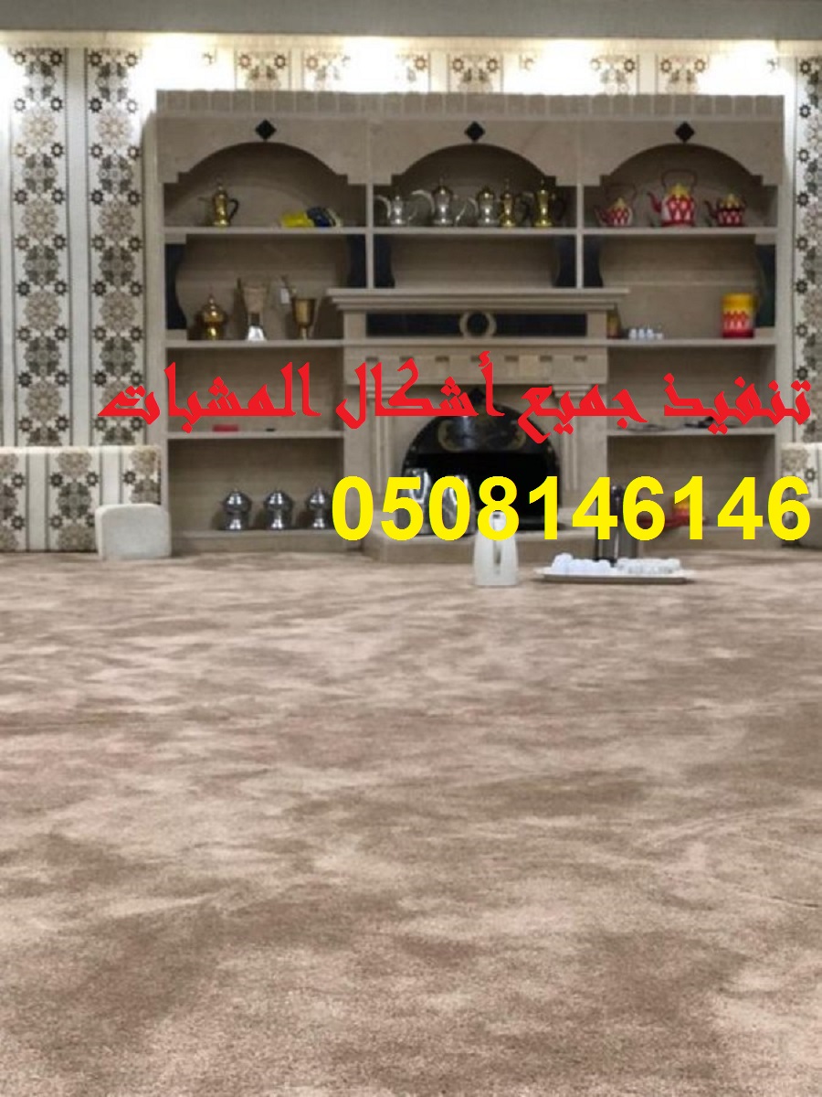 مشبات