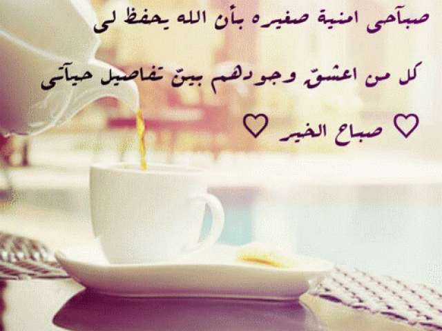مطلوب سيارة مازدا 2000