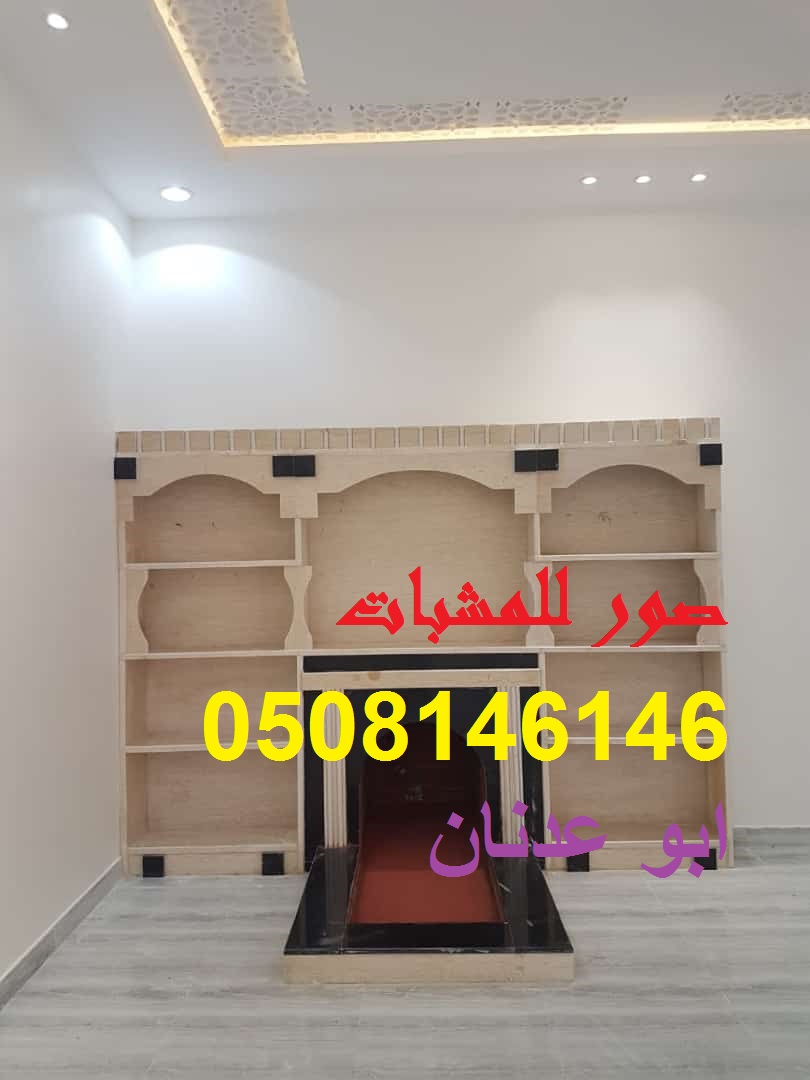 مشبات
