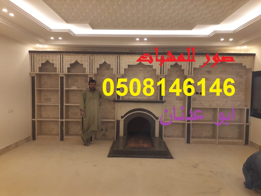 مشبات