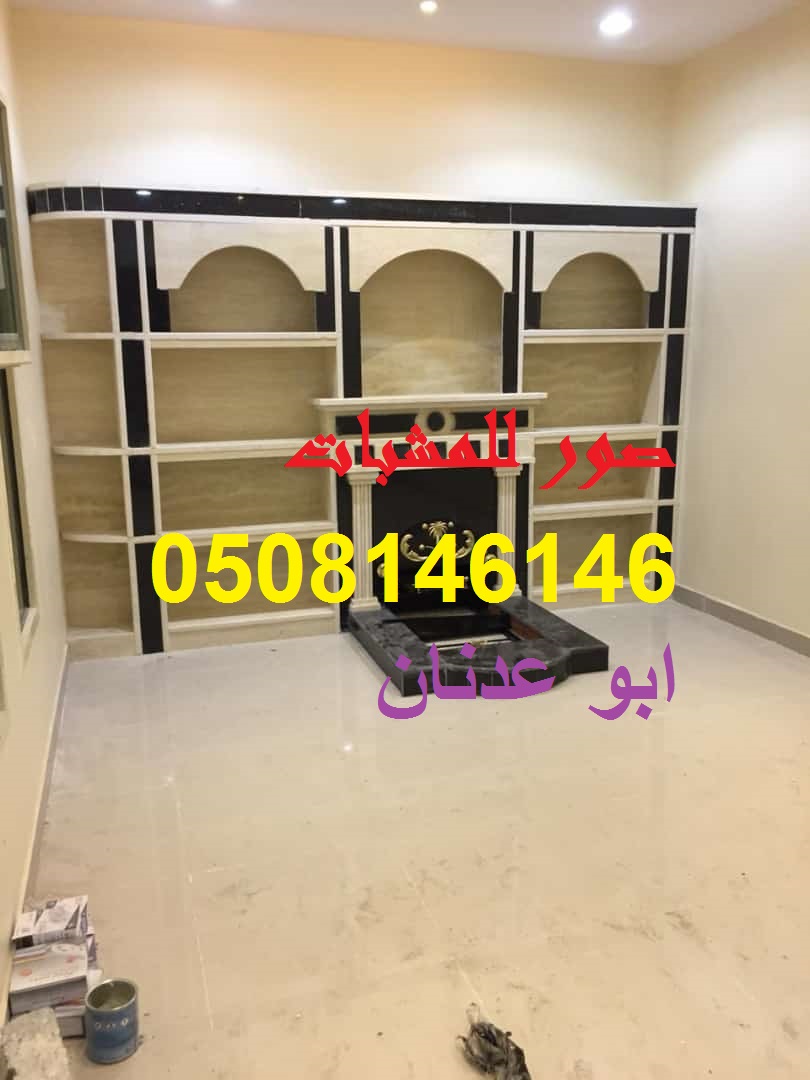 مشبات