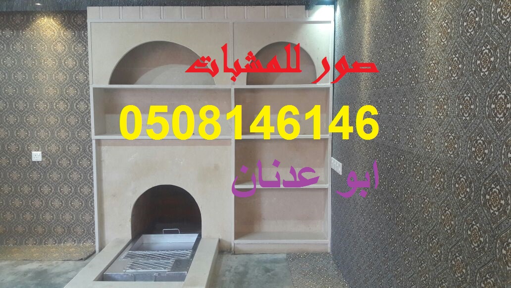 مشبات