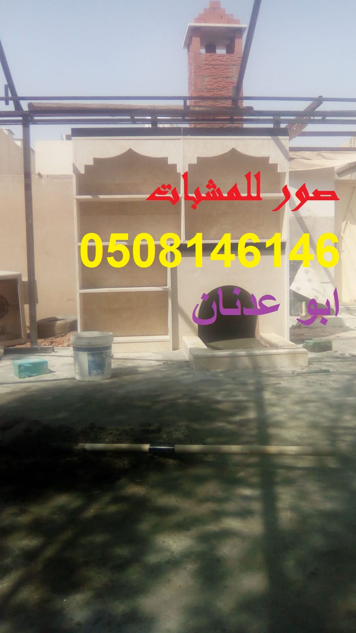 مشبات