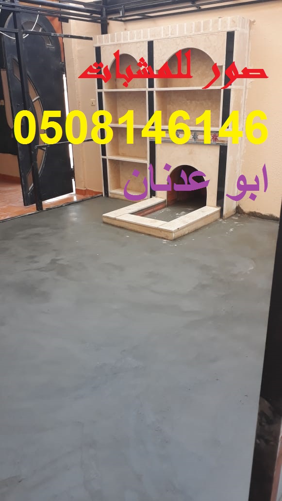مشبات