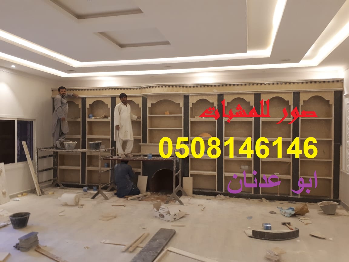 مشبات