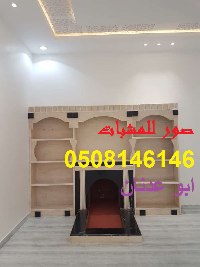مشبات