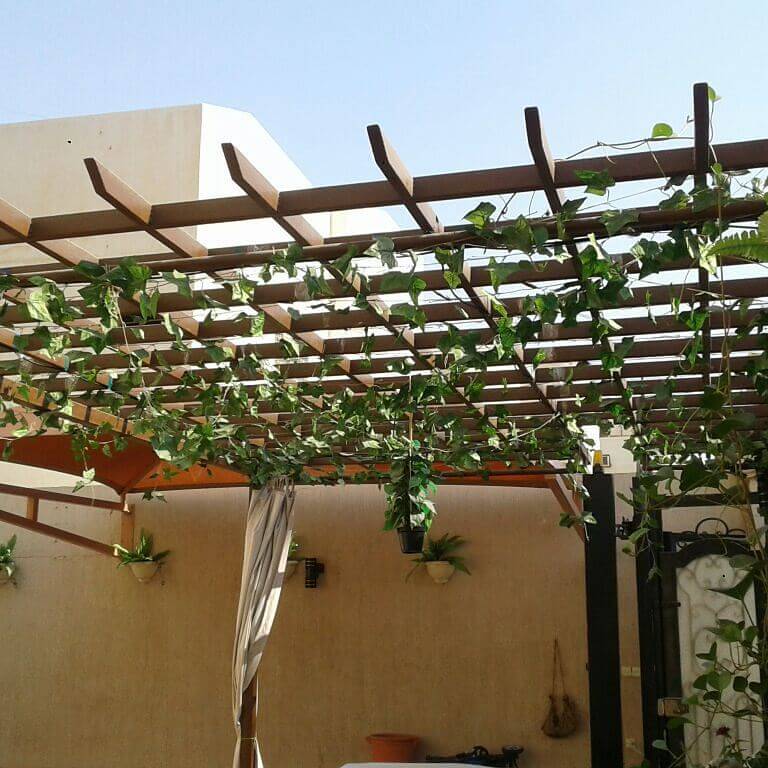مظلات في عسير وأبها وخميس مشيط وجازان ونجران  وصبيا وبيشه 