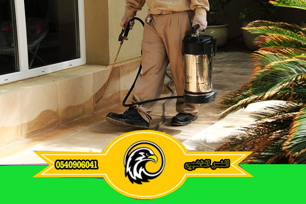  أفضل شركة مكافحة الحشرات بالمدينة المنوره0540906041