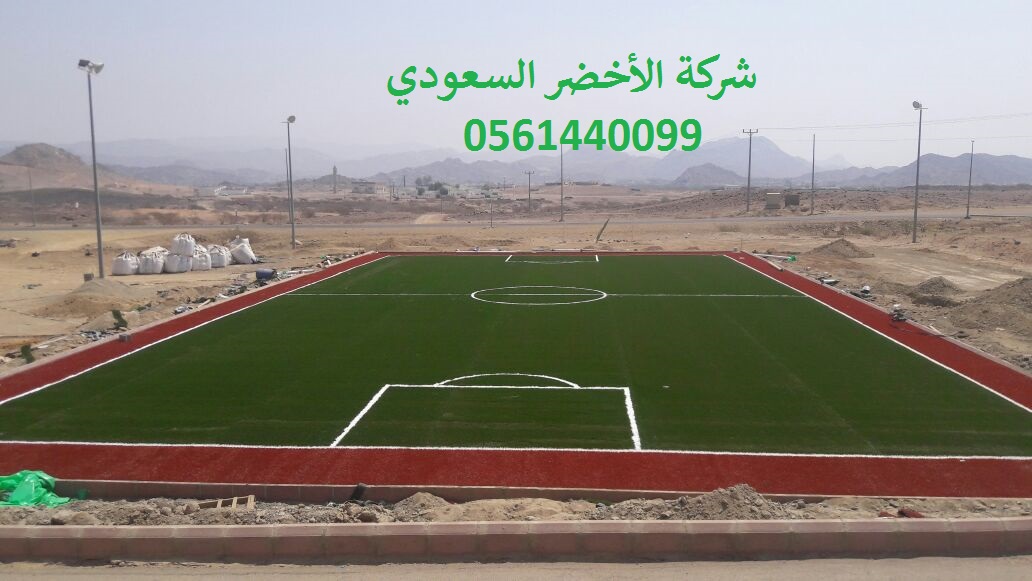 شركة الأخضر السعودي ملاعب العشب النجيل الصناعي الثيل الصناعي ا