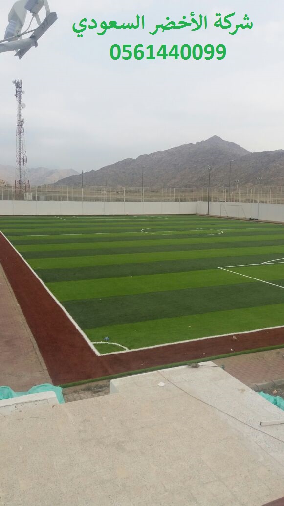 شركة الأخضر السعودي ملاعب العشب النجيل الصناعي الثيل الصناعي ا