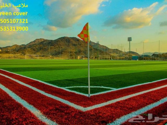 ملاعب عشب حدائق العشب النجيل الصناعي الثيل الصناعي ضمان 10 سنو