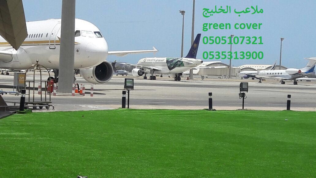 ملاعب عشب حدائق العشب النجيل الصناعي الثيل الصناعي ضمان 10 سنو