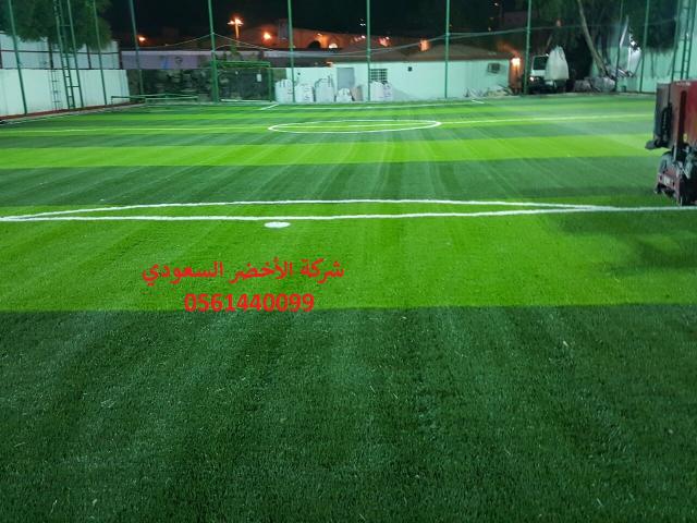 شركة الأخضر السعودي ملاعب العشب النجيل الصناعي الثيل الصناعي 