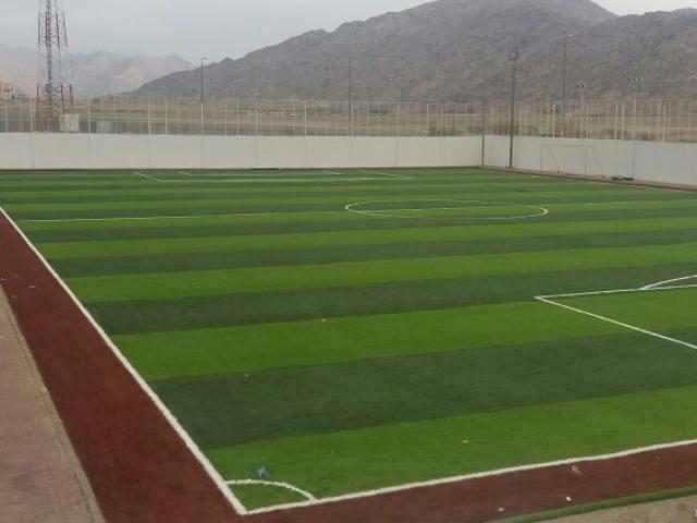 شركة الأخضر السعودي ملاعب العشب النجيل الصناعي الثيل الصناعي 
