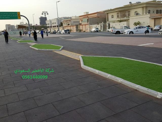 شركة الأخضر السعودي ملاعب العشب النجيل الصناعي الثيل الصناعي 