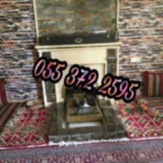 مشبات
