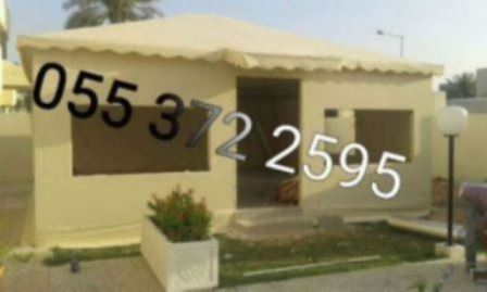 مشبات