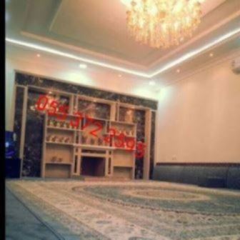 صور مشبات