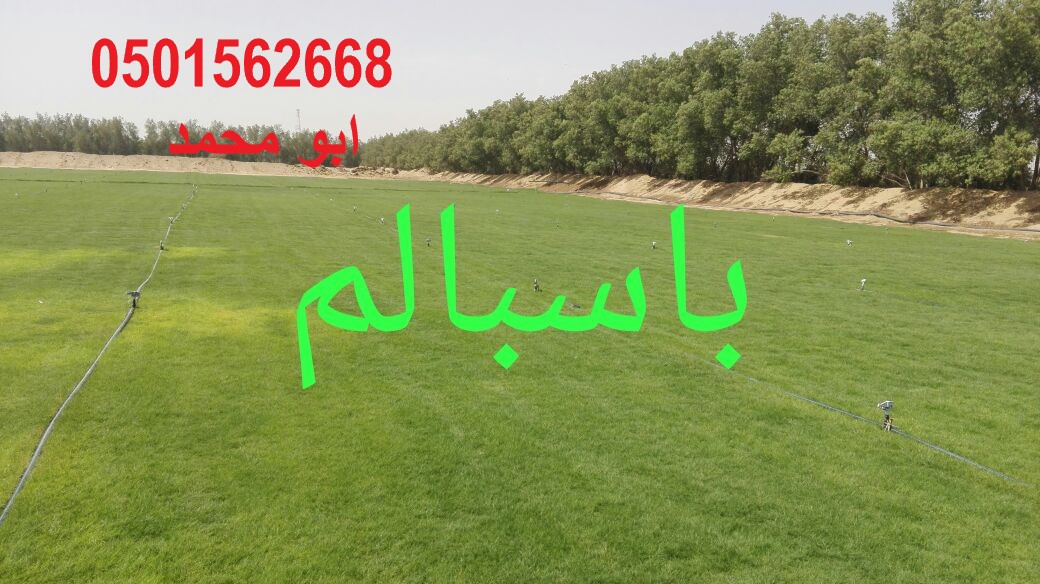 تنسيق الحدائق زرع النخيل ثيل صناعى طبيعى ورود شبكات ري تزيين ا