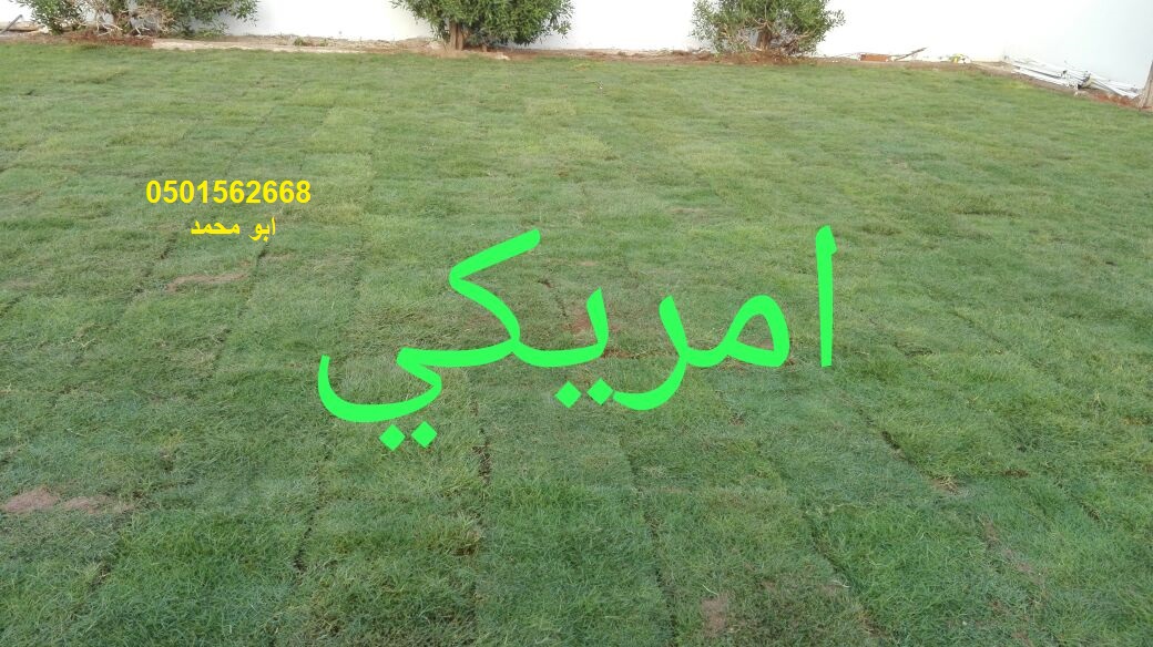 تنسيق الحدائق زرع النخيل ثيل صناعى طبيعى ورود شبكات ري تزيين ا