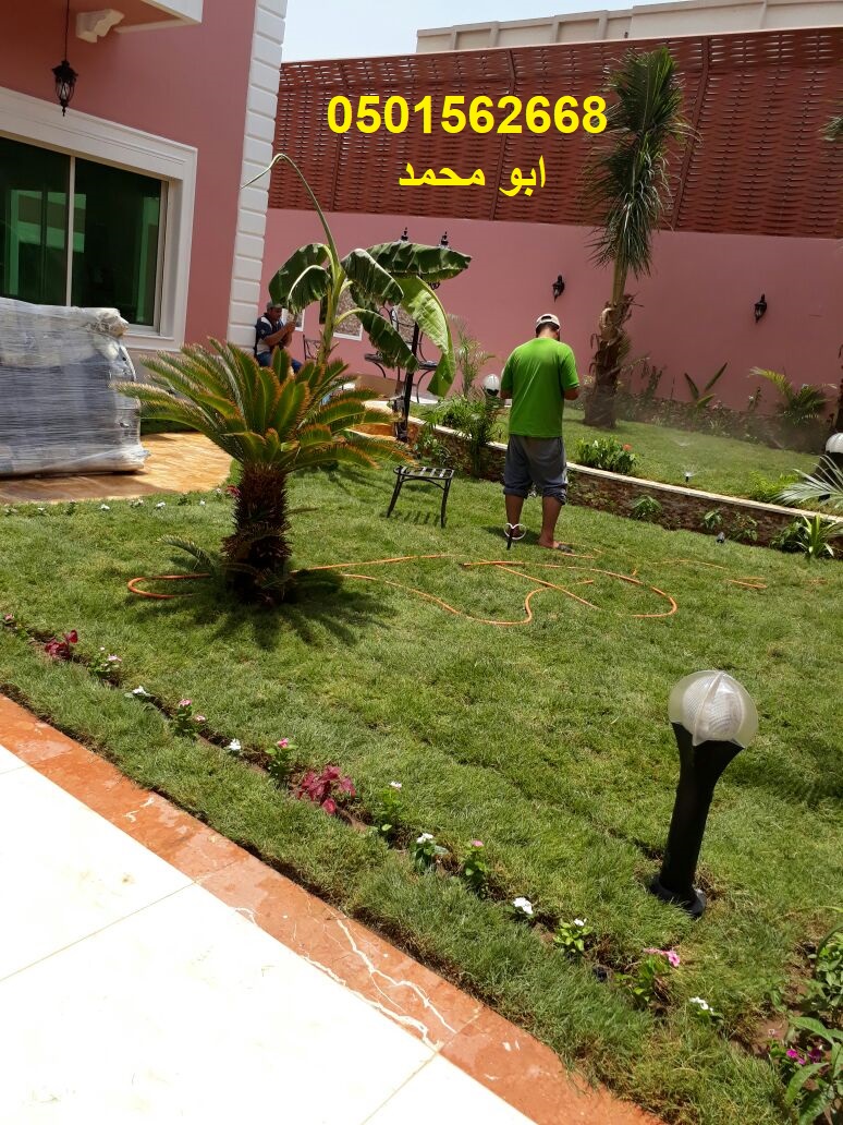 تنسيق الحدائق زرع النخيل ثيل صناعى طبيعى ورود شبكات ري تزيين ا
