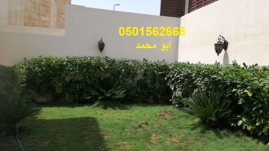 تنسيق الحدائق زرع النخيل ثيل صناعى طبيعى ورود شبكات ري تزيين ا