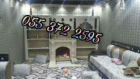 مشبات