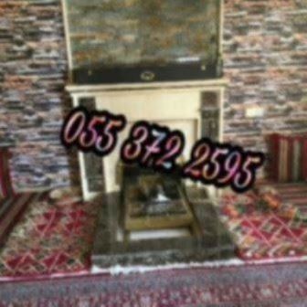 مشبات