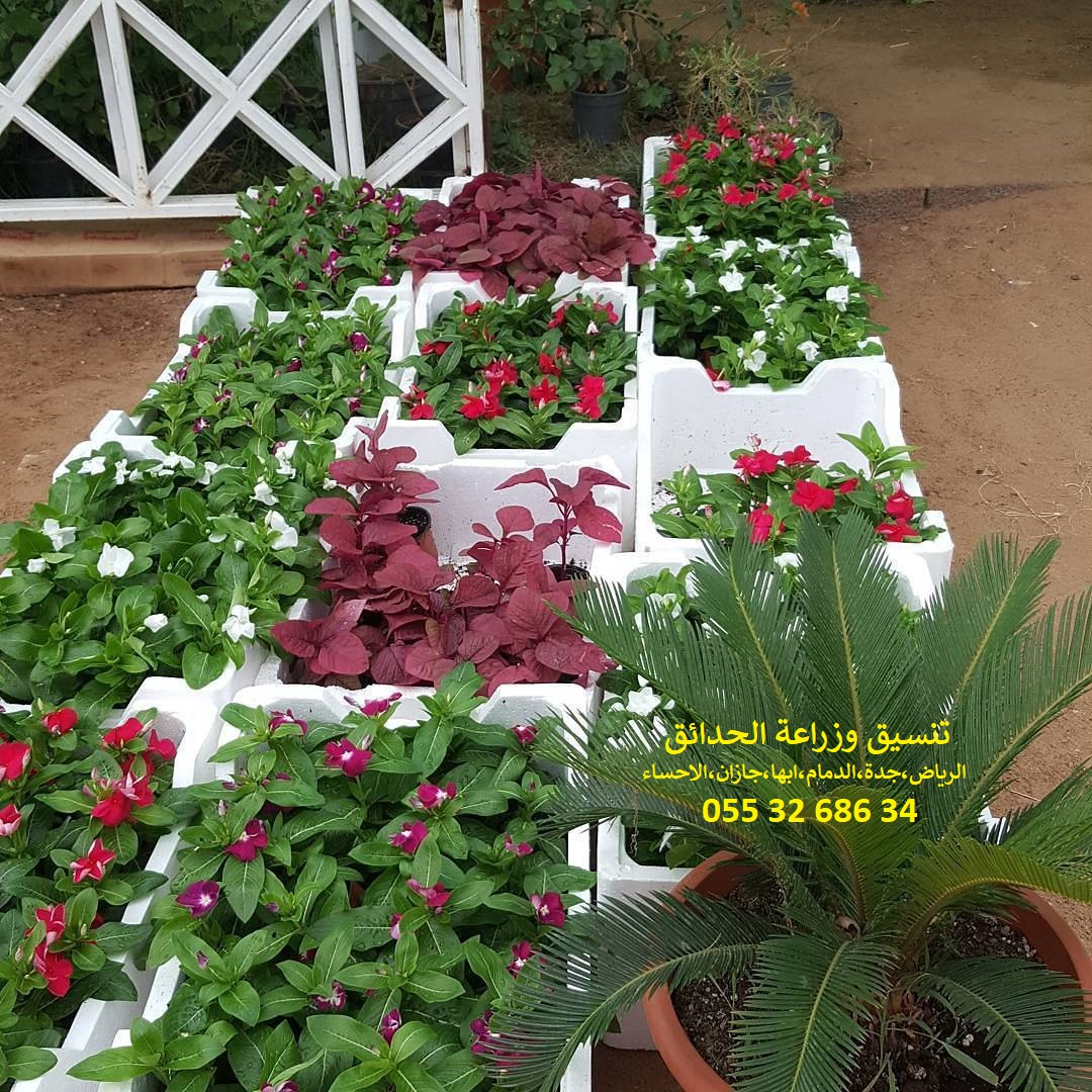 شركة تنسيق حدائق 0553268634 الرياض جدة الدمام ابها جازان احساء